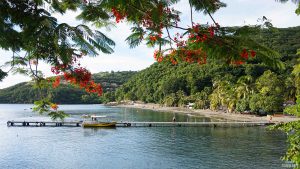 Naver-avec-Tortues-plage-de-Malendure