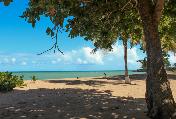 Plage des Amandiers, Guadeloupe.