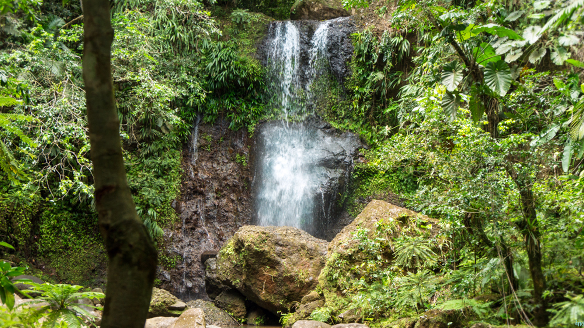 Cascade-saut-des-trois-cornes-sainte-rose-guadeloupe-rando