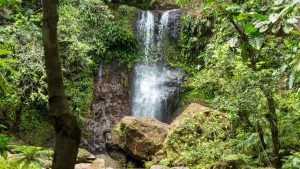 Cascade-saut-des-trois-cornes-sainte-rose-guadeloupe-thumb