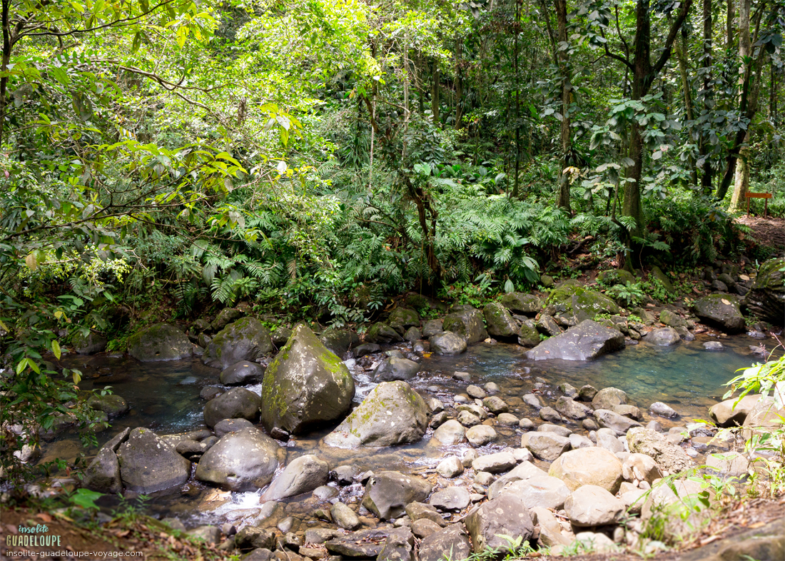 Cascade-saut-des-trois-cornes-sainte-rose-riviere