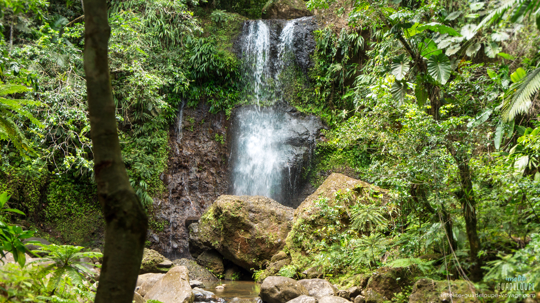 Cascade-saut-des-trois-cornes-Sainte-Rose-Sofaïa-Randonnée