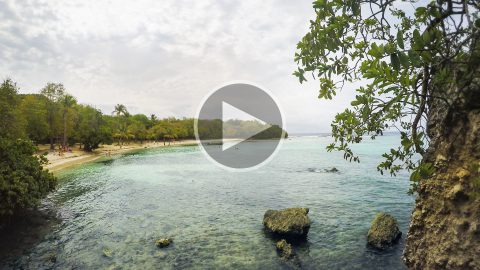 Plage de Petit-Havre, Le Gosier, Guadeloupe video