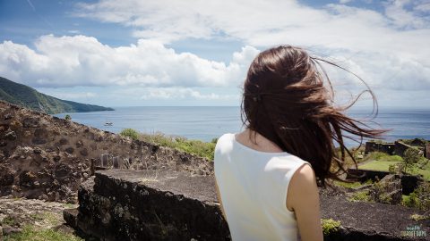 Vue-Fort-Delgres-mer-Basse-Terre