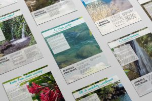 planche-couverture-guide-promo-web