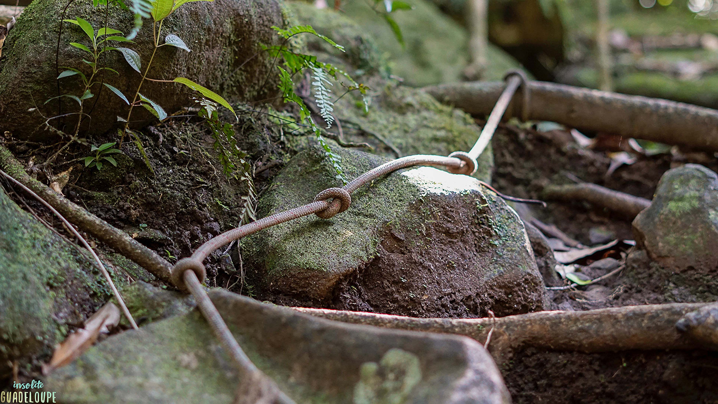 Cordes-escalade-phase-relief-randonnées-conseils-Guadeloupe