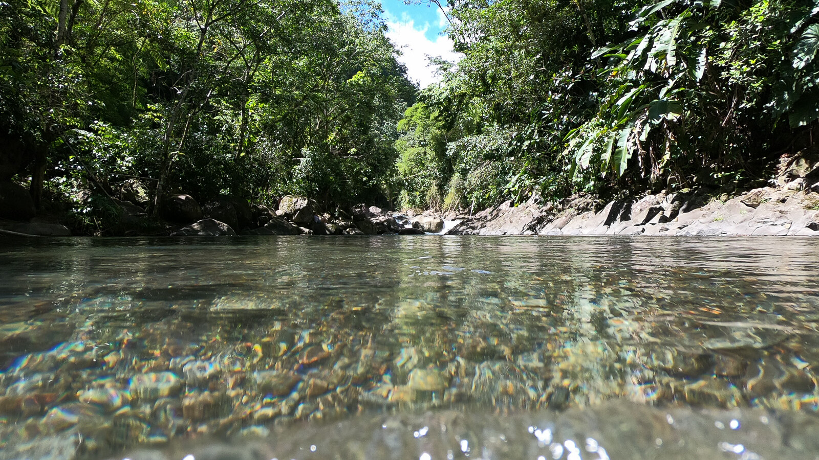 Excurssion-randonnee-cascade-paradis-grande-riviere-vieux-habitant-guadeloupe-guide